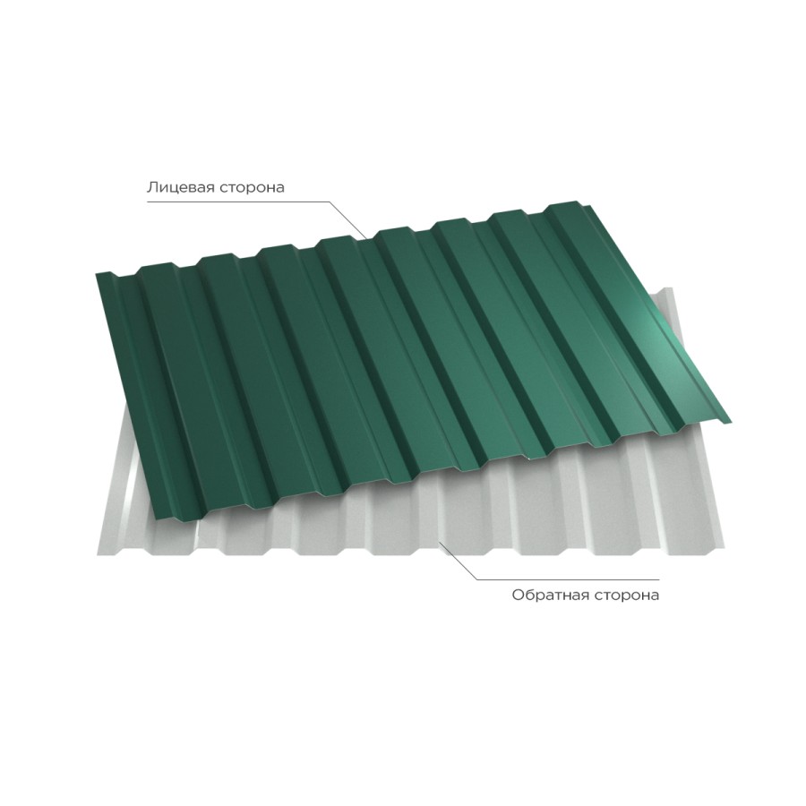 6005