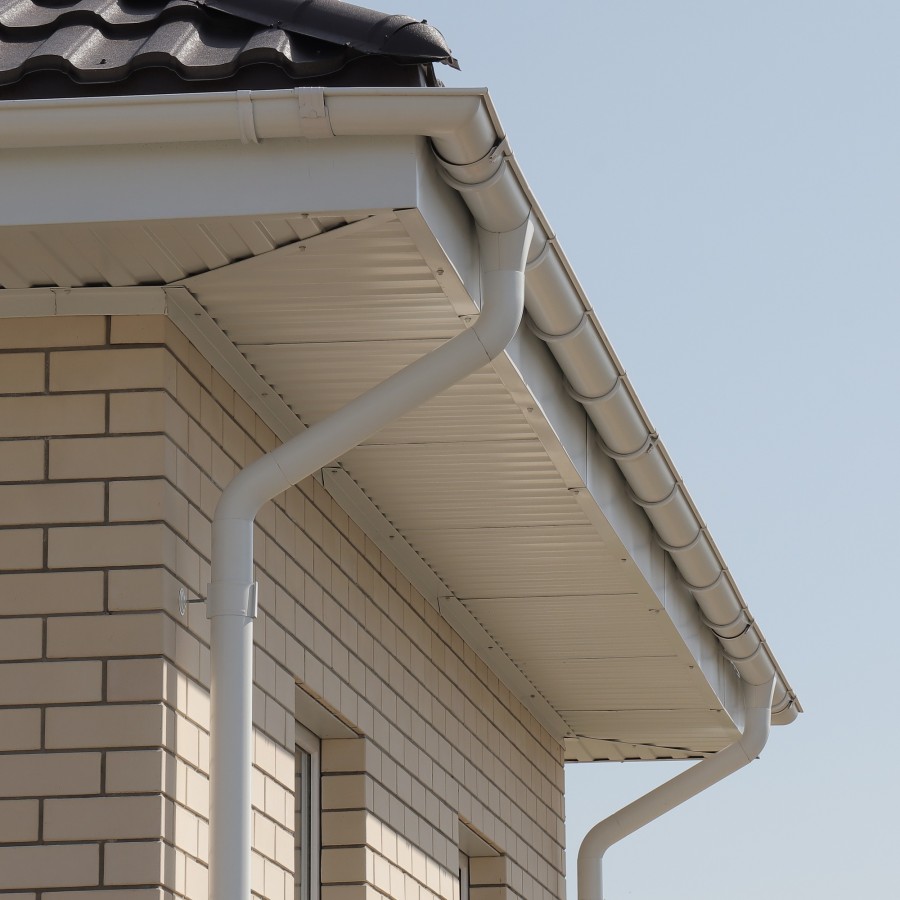 IMG_9973_1